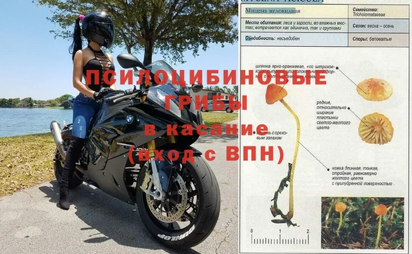 меф Алзамай