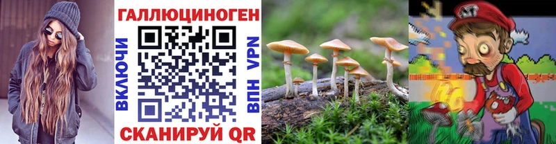 Псилоцибиновые грибы мухоморы где продают mega сайт Миасс