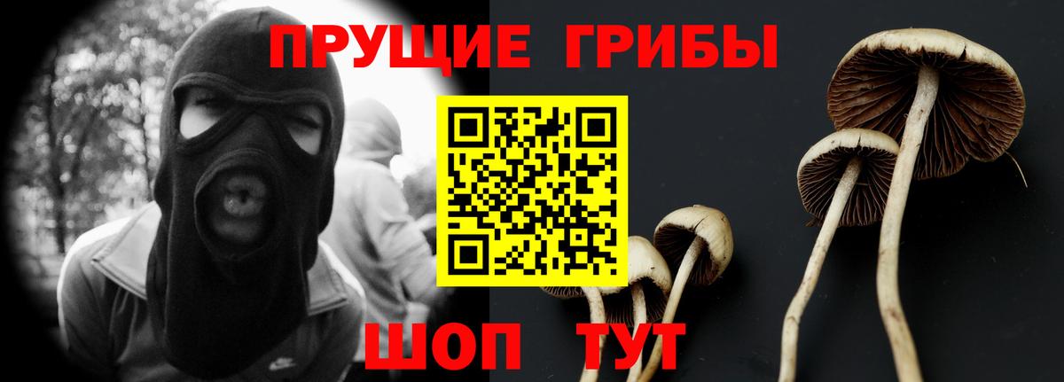 Галлюциногенные грибы GOLDEN TEACHER Миасс